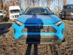 Lot #3024982147 2019 TOYOTA RAV4 LE