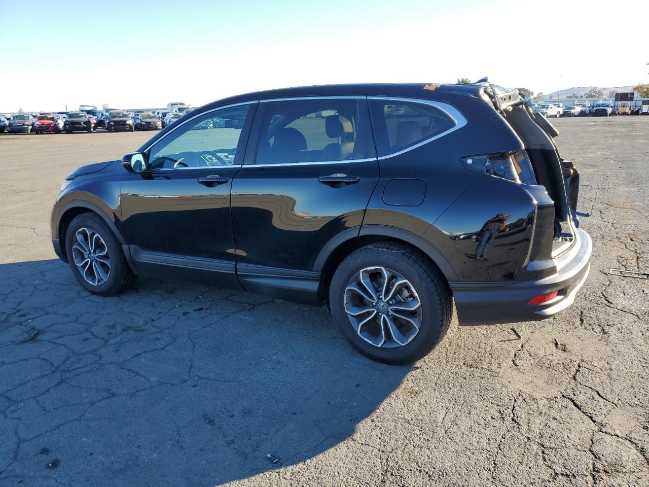 Lot #2979162986 2020 HONDA CR-V EXL