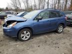 Lot #3033124987 2015 SUBARU FORESTER 2