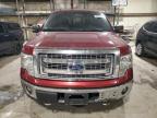 Lot #3023061172 2014 FORD F150 SUPER