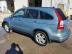 Lot #3023792888 2010 HONDA CR-V EXL