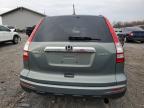 HONDA CR-V EXL photo