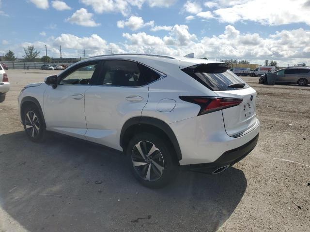 2020 LEXUS NX 300 JTJGARBZ0L5000824