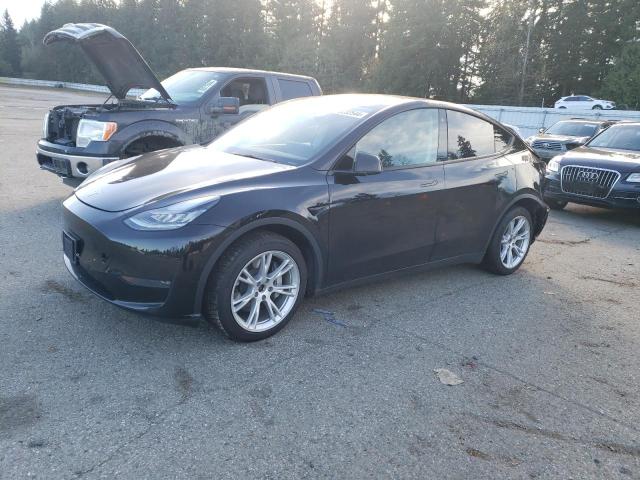 2021 TESLA MODEL Y #2989373703