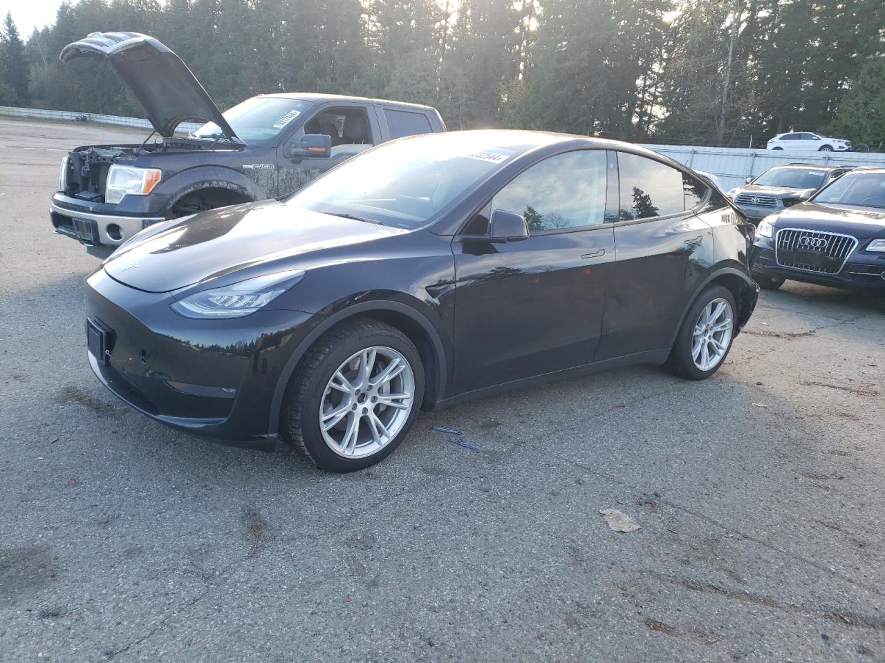 Lot #2989373703 2021 TESLA MODEL Y