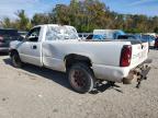 Lot #2969287701 2005 CHEVROLET SILVERADO