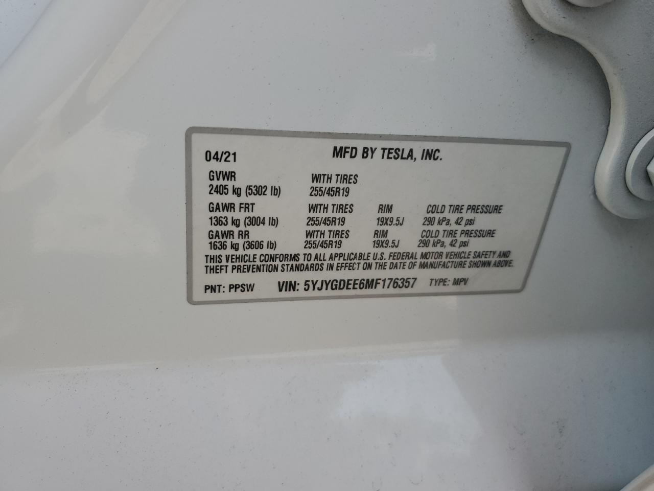 Lot #2977011597 2021 TESLA MODEL Y