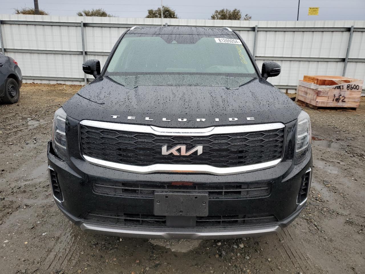 Lot #3028246867 2022 KIA TELLURIDE