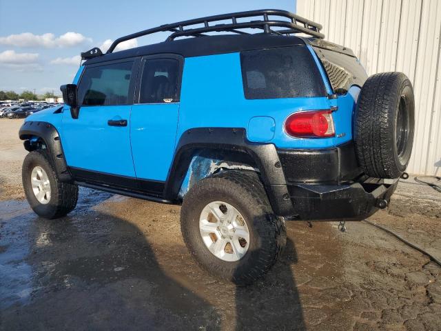 TOYOTA FJ CRUISER 2007 blue  gas JTEBU11F670011774 photo #3