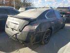 Lot #2957657070 2014 NISSAN MAXIMA S