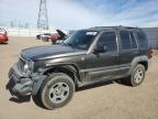 JEEP LIBERTY SP снимка