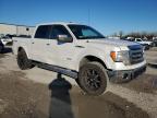 Lot #3024077631 2014 FORD F150 SUPER