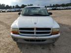 DODGE DAKOTA SLT photo