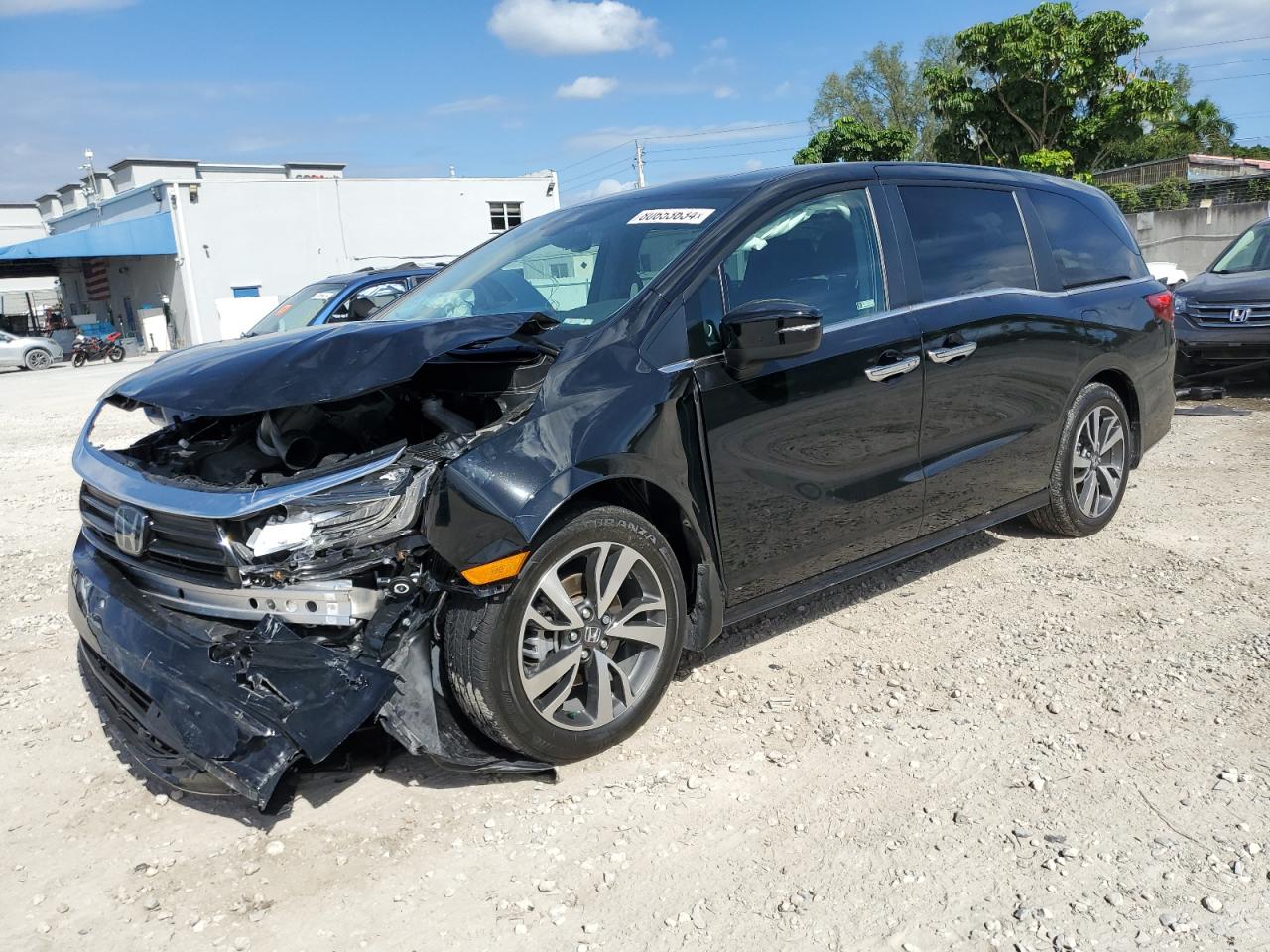 Lot #3028504924 2024 HONDA ODYSSEY TO