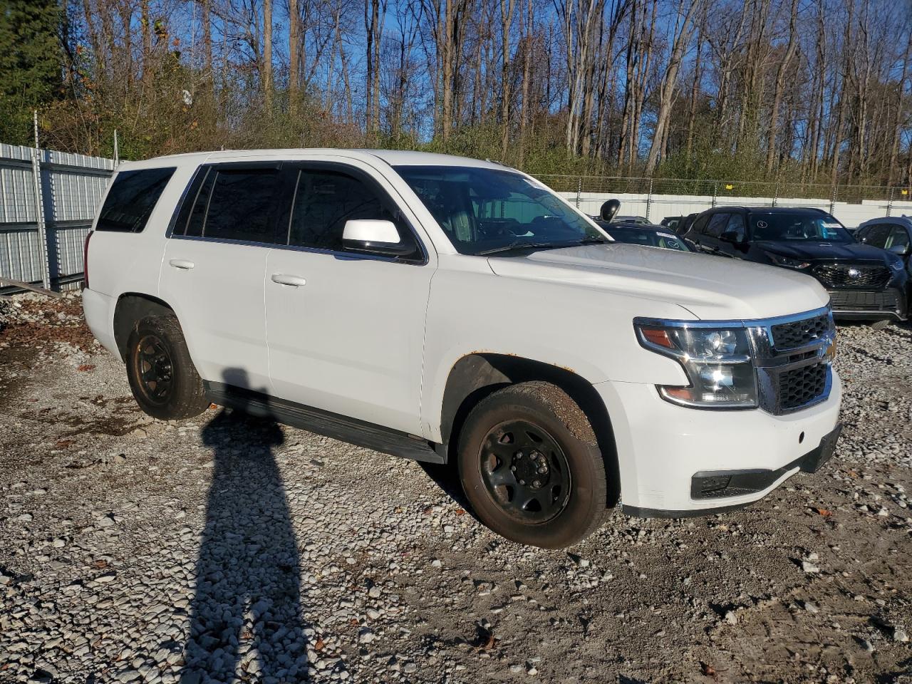 Lot #3003173678 2019 CHEVROLET TAHOE POLI