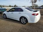 ACURA TSX photo