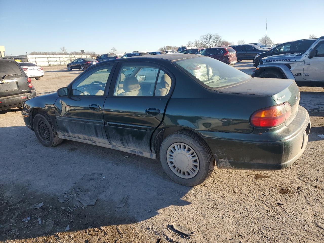 Lot #3020638949 2003 CHEVROLET MALIBU