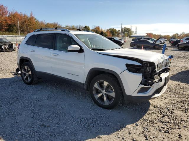2019 JEEP CHEROKEE L - 1C4PJMDN5KD255537