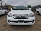 LEXUS GX 460 photo