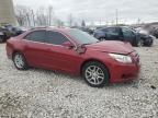 Lot #2960243449 2013 CHEVROLET MALIBU 1LT