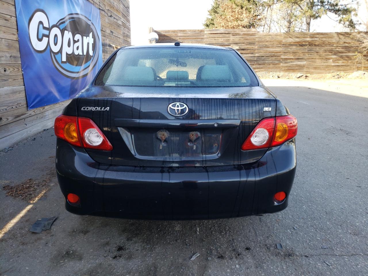 Lot #3034295105 2009 TOYOTA COROLLA BA