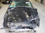 Lot #3024032202 2010 HONDA ACCORD EXL