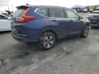 Lot #3023830886 2019 HONDA CR-V LX