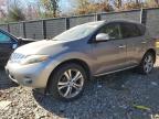 NISSAN MURANO S photo