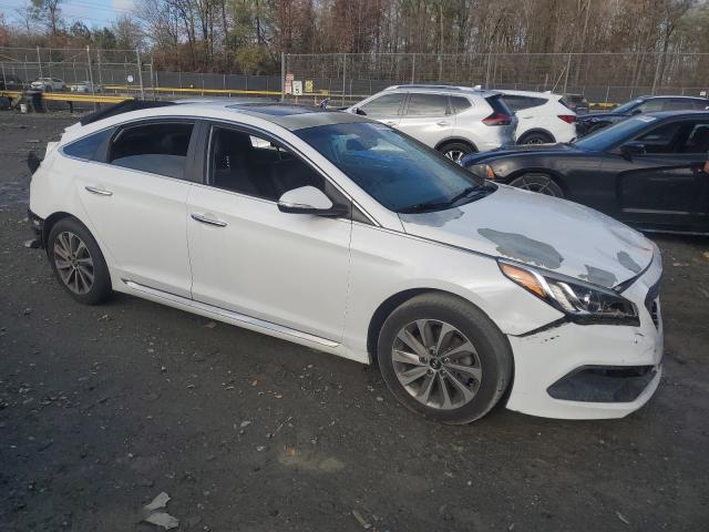 2016 HYUNDAI SONATA SPO - 5NPE34AF5GH365181
