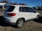 Lot #2962032519 2013 VOLKSWAGEN TIGUAN S