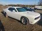 Lot #3024736216 2013 DODGE CHALLENGER