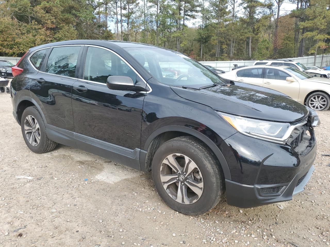 Lot #2995909999 2019 HONDA CR-V LX