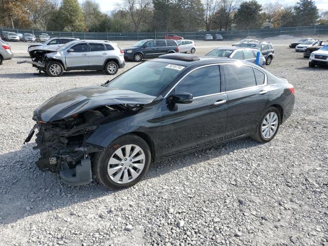 HONDA ACCORD EXL 2014 black  gas 1HGCR3F84EA000054 photo #1