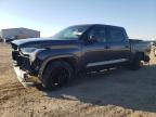 2023 TOYOTA TUNDRA CRE - 5TFLA5DBXPX084686