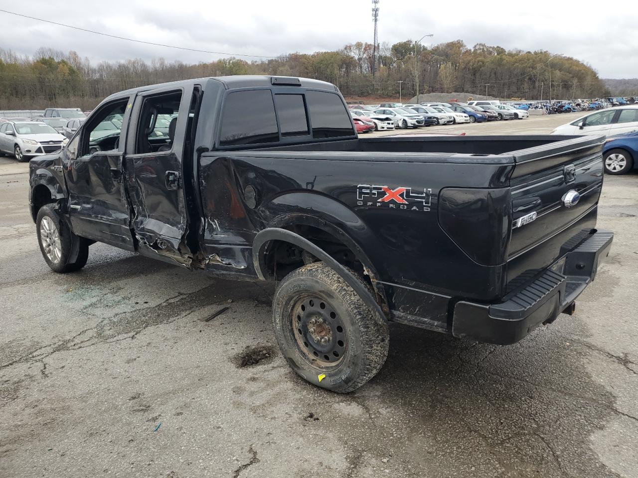 Lot #3028601925 2011 FORD F-150