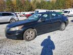 HONDA ACCORD SE photo