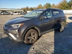 Lot #3023908228 2016 TOYOTA RAV4 XLE