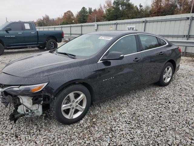 2019 CHEVROLET MALIBU LS - 1G1ZB5STXKF156044