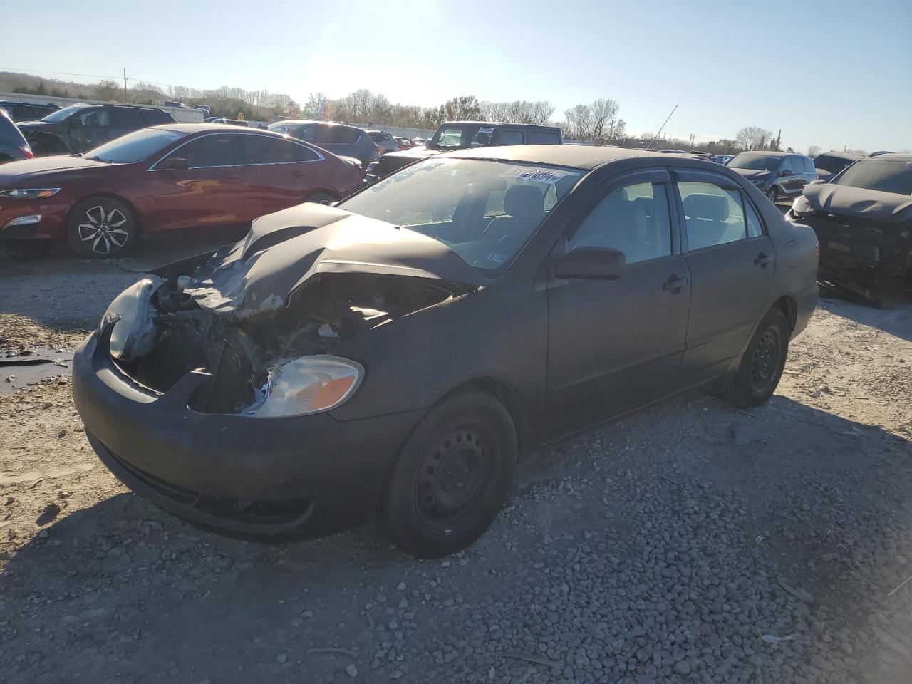 Lot #2994255879 2008 TOYOTA COROLLA CE