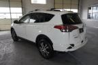 TOYOTA RAV4 LE photo