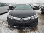 Lot #3023764881 2017 HONDA ACCORD EXL