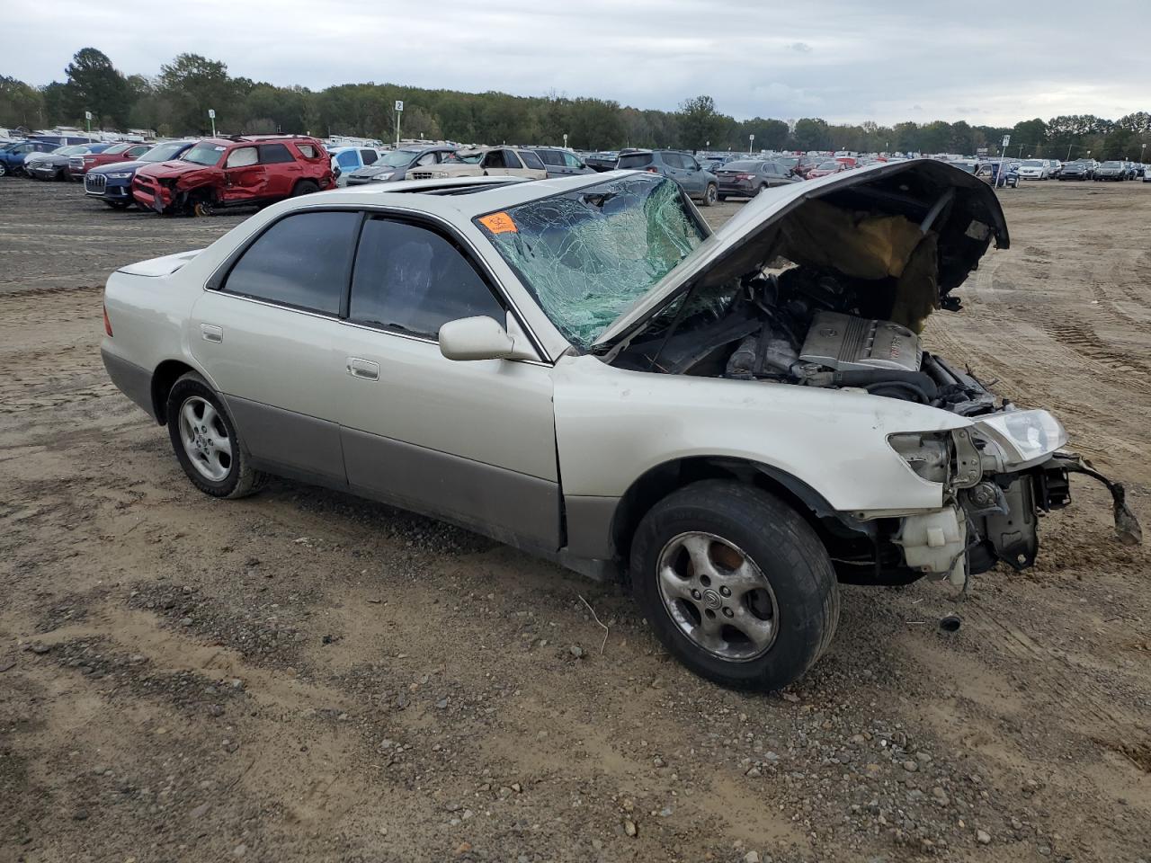 Lot #3009094265 1999 LEXUS ES 300