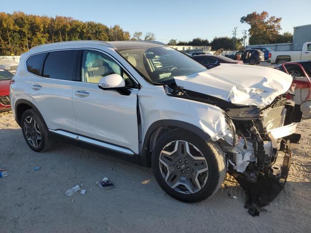 2021 HYUNDAI SANTA FE L 5NMS4DAL7MH353516