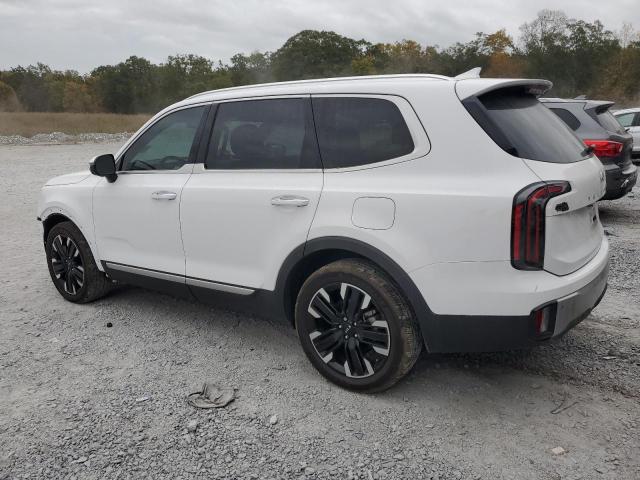 KIA TELLURIDE 2024 white  gas 5XYP5DGC0RG426592 photo #3