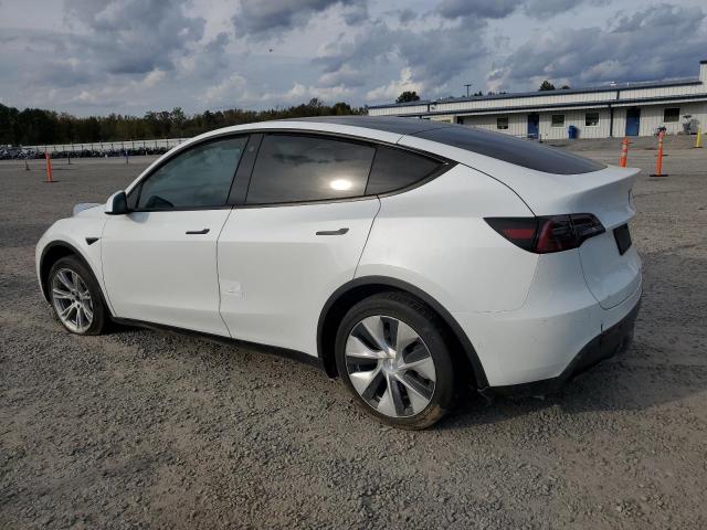 2021 TESLA MODEL Y - 5YJYGDEE1MF233600
