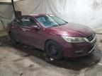 HONDA ACCORD SPO photo