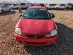 DODGE NEON ES photo