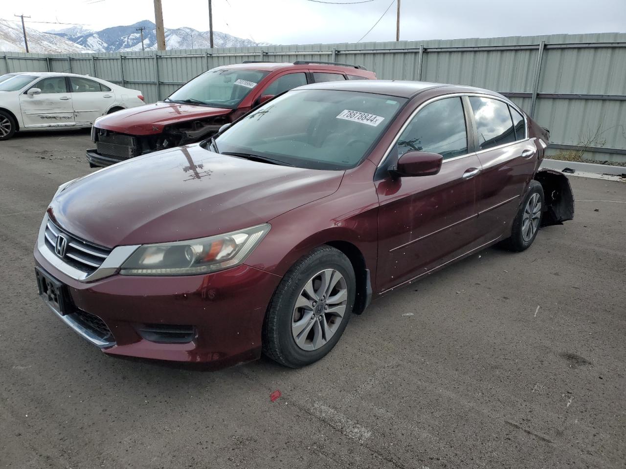 Lot #2972455719 2013 HONDA ACCORD LX