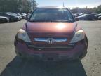 Lot #3025193189 2007 HONDA CR-V EXL