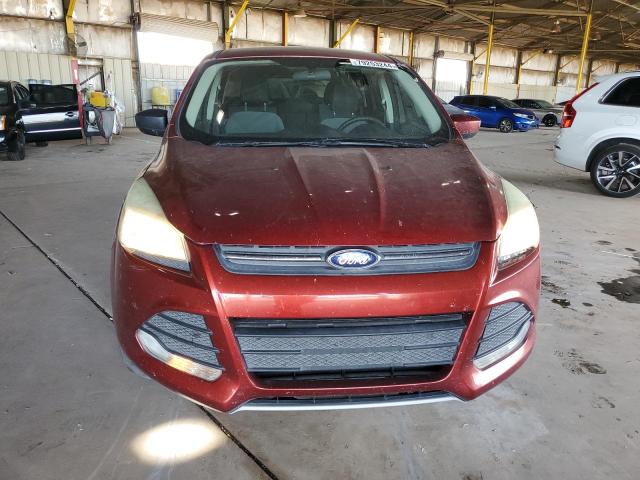 VIN 1FMCU0GX9EUE41125 2014 Ford Escape, SE no.5